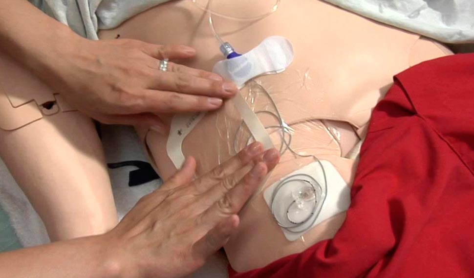 Our Project One Image 1